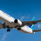 A WestJet 737 MAX 8 of WestJet. Note the split scimitar winglets which help increase fuel efficiency. (Acelift)
